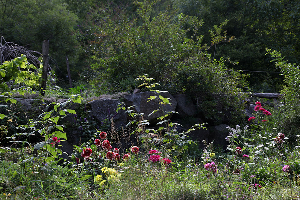 background-commeunjardin.jpg